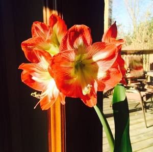 Meet your Posher, Nadiya